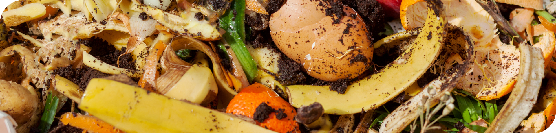 Organic Waste